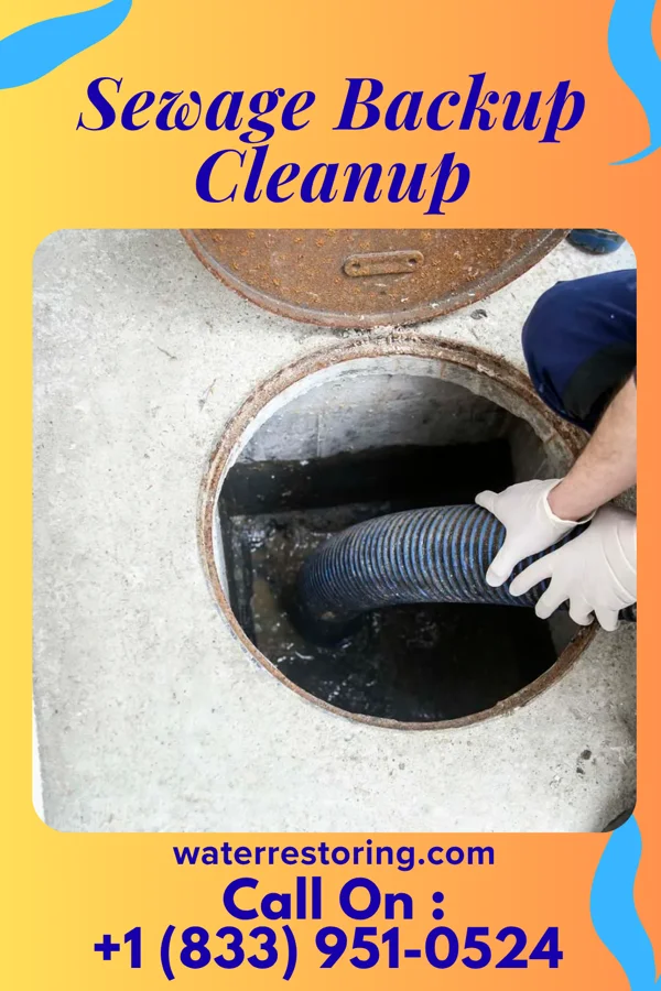 Sewage Backup Cleanup in La Coma Heights, TX